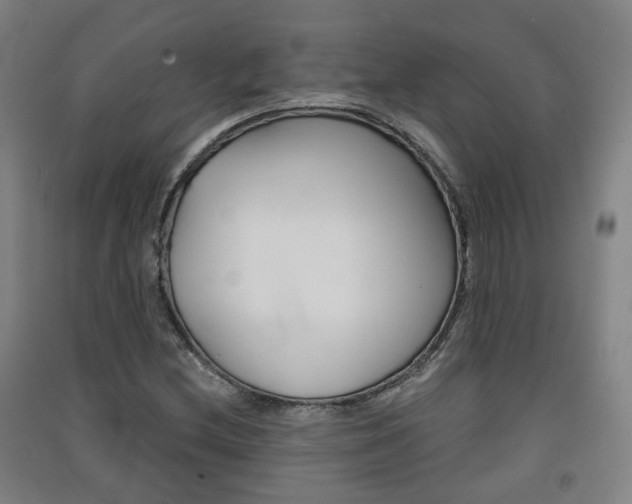 X0000091571212200708200943