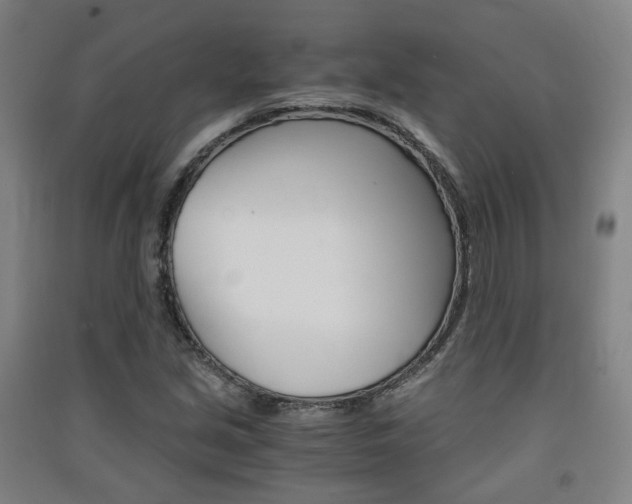 X0000091571213200708200943