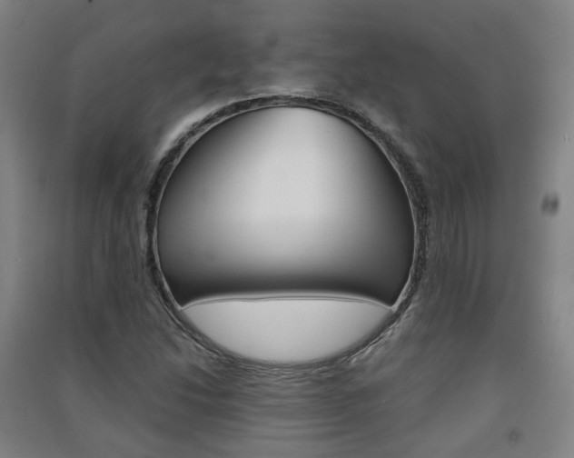 X0000091571214200708200943