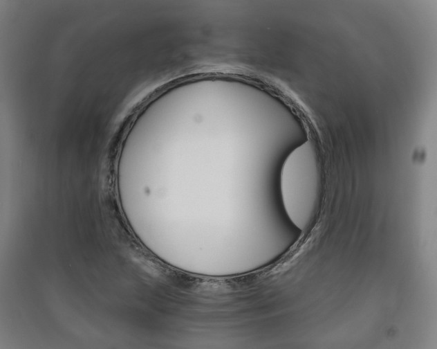 X0000091571215200708200943