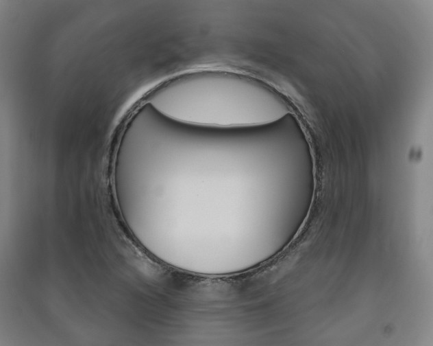 X0000091571216200708200943