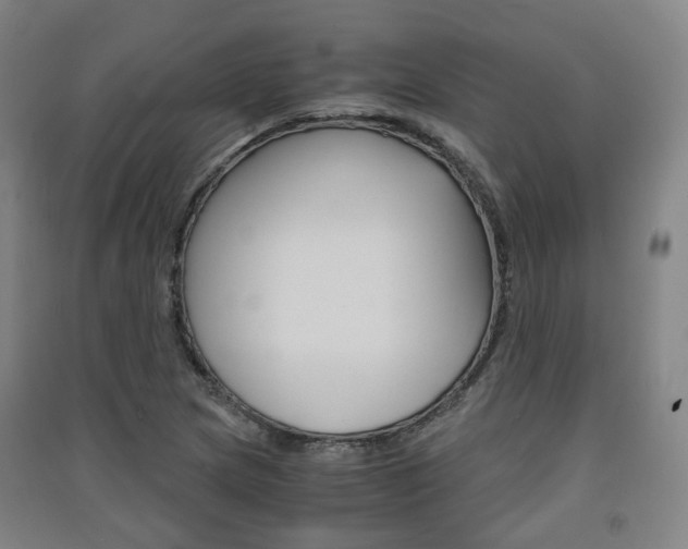 X0000091571217200708200943