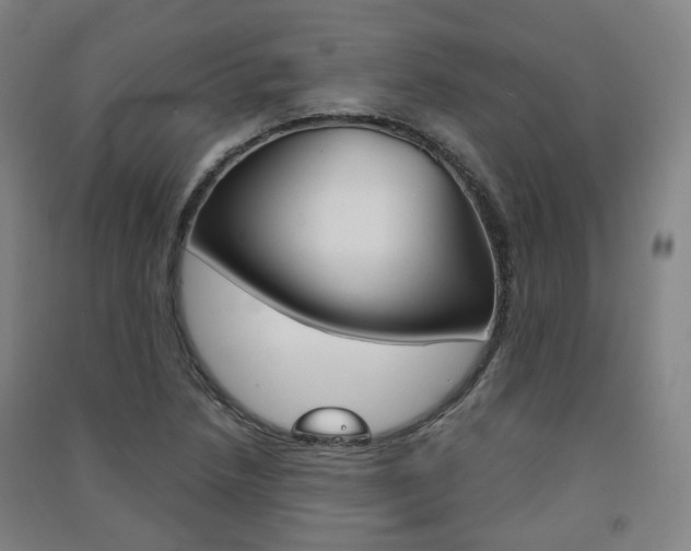 X0000091571218200708200943