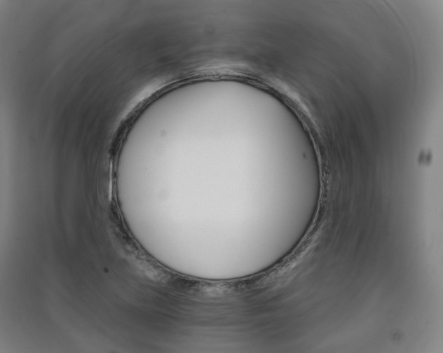 X0000091571219200708200943