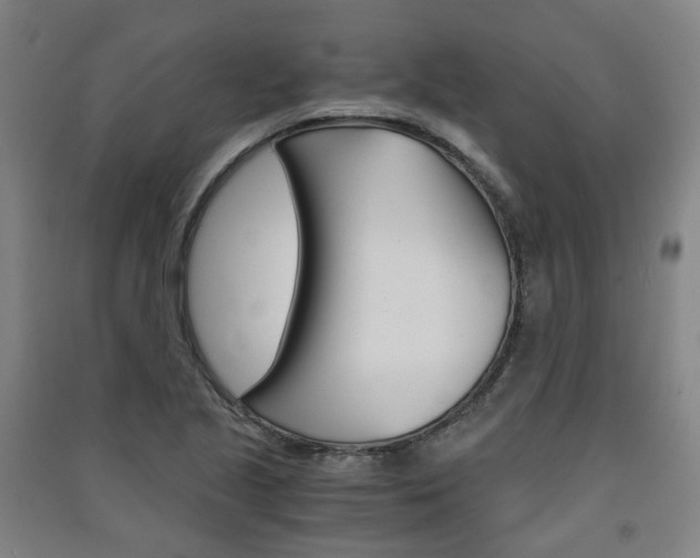 X0000091571221200708200943