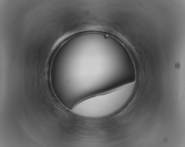 X0000091571222200708200943