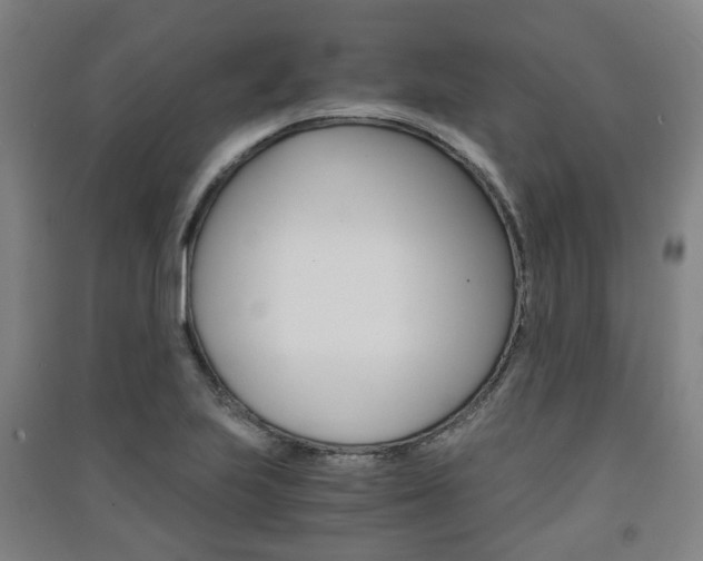 X0000091571223200708200943