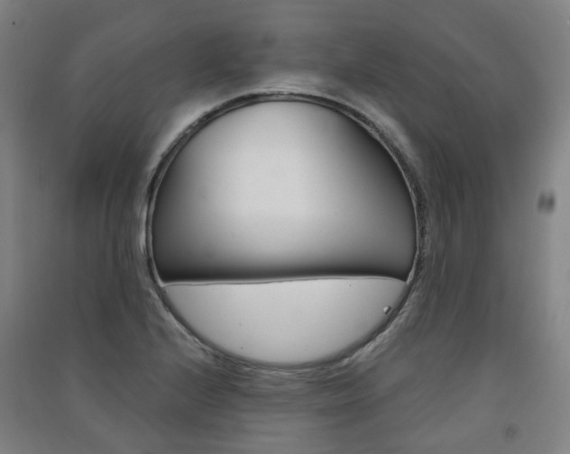 X0000091571224200708200943