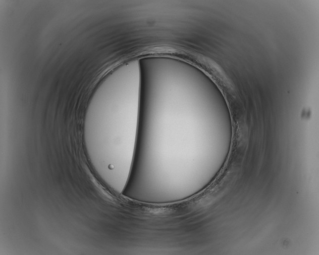 X0000091571225200708200944
