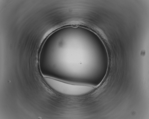 X0000091571226200708200944