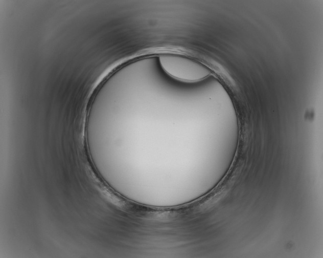 X0000091571228200708200944