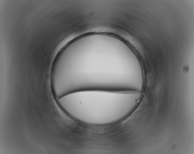 X0000091571229200708200944