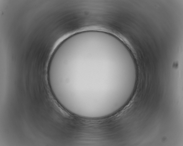 X0000091571230200708200944
