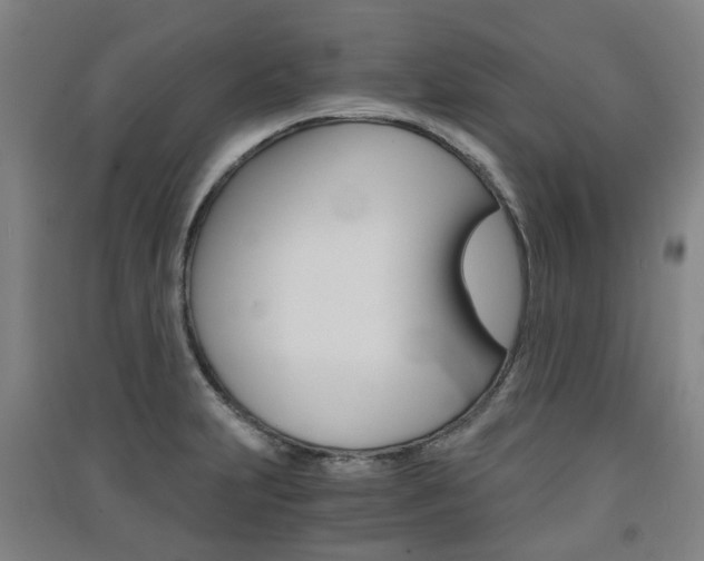 X0000091571231200708200944