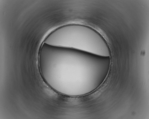 X0000091571232200708200944