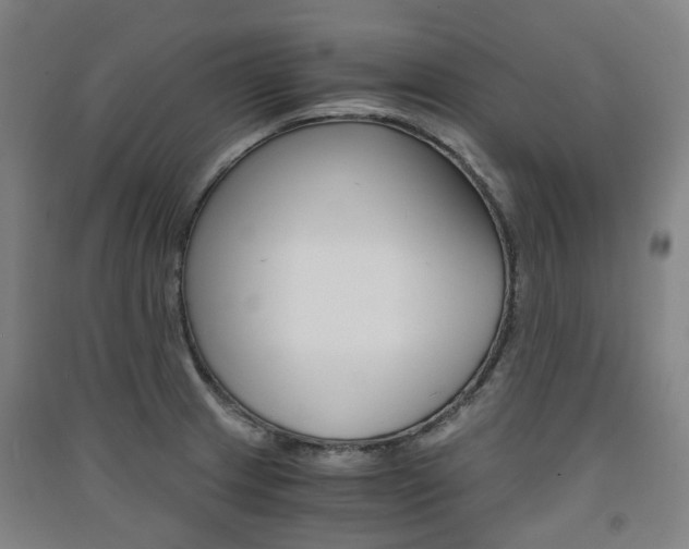 X0000091571233200708200944