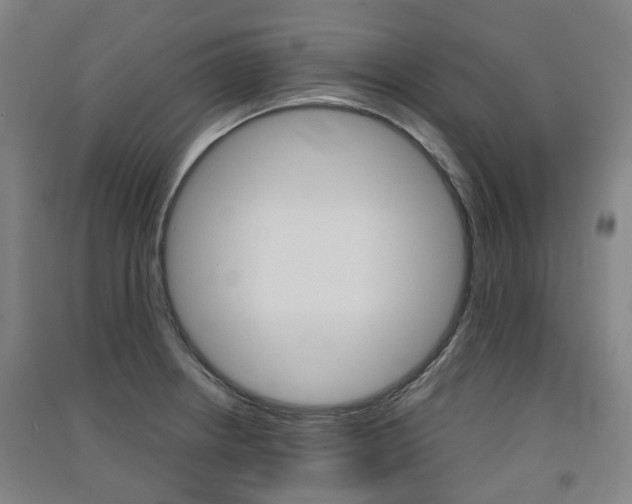 X0000091571234200708200944