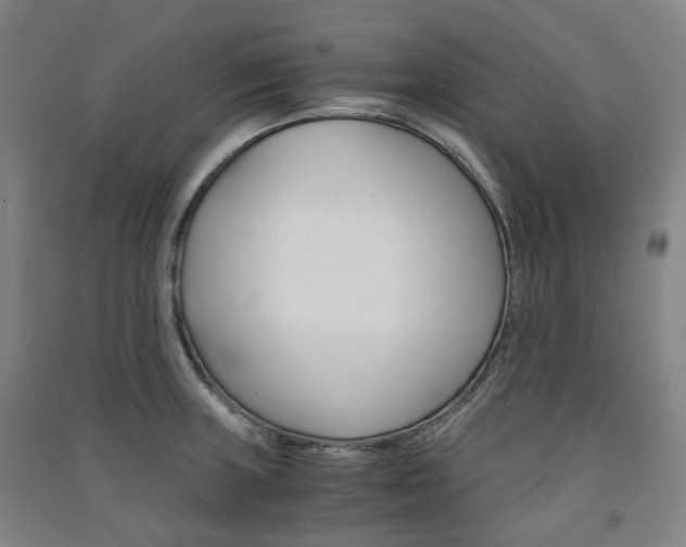 X0000091571235200708200944