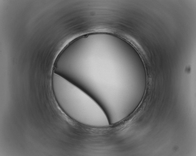 X0000091571236200708200944
