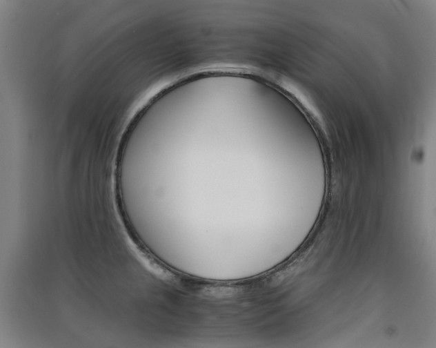 X0000091571237200708200944