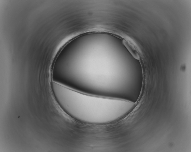 X0000091571238200708200944