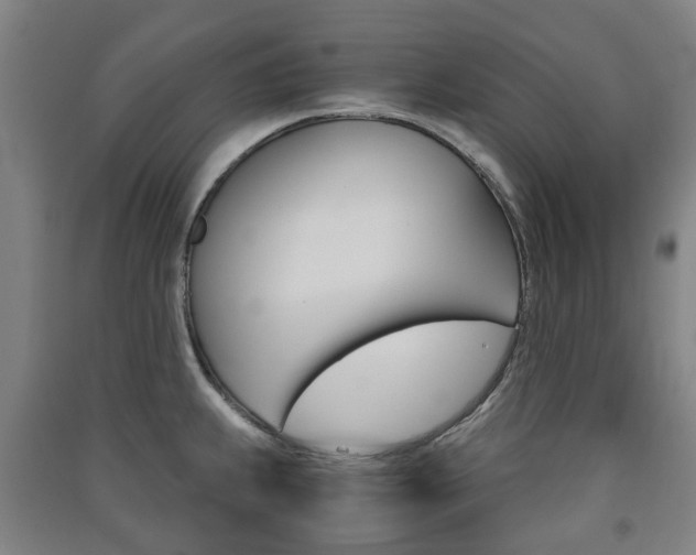 X0000091571239200708200944