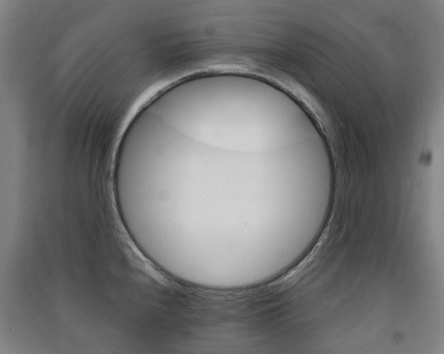 X0000091571240200708200944
