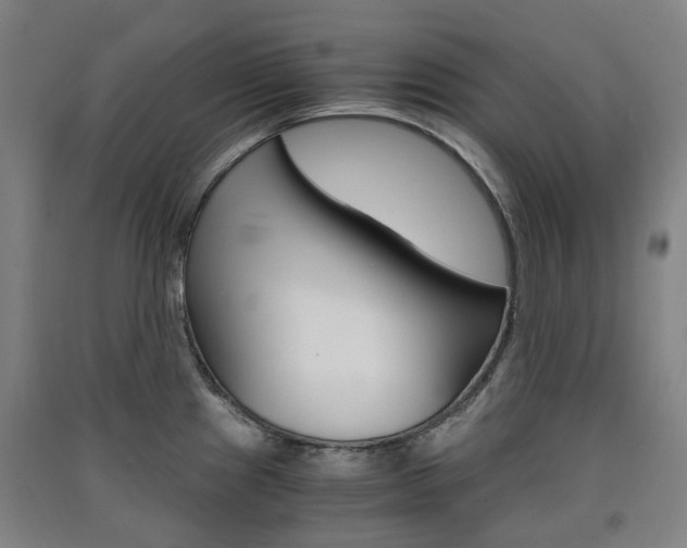 X0000091571241200708200944