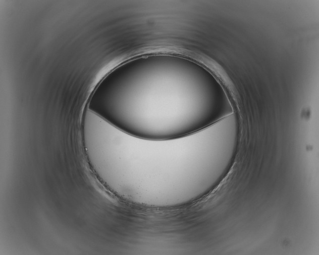 X0000091571242200708200944