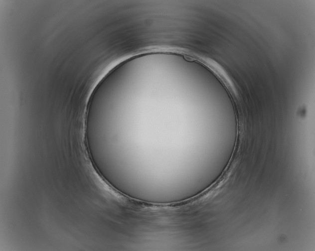 X0000091571244200708200944