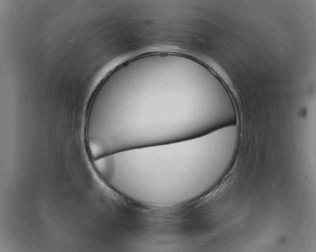X0000091571245200708200944
