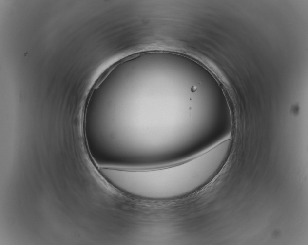 X0000091571246200708200944