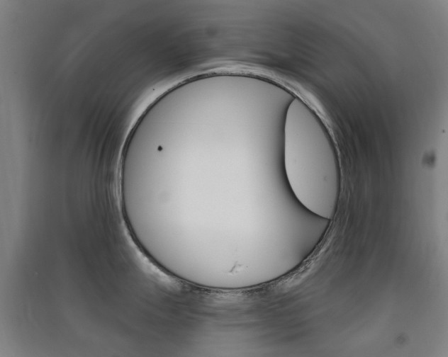 X0000091571247200708200944
