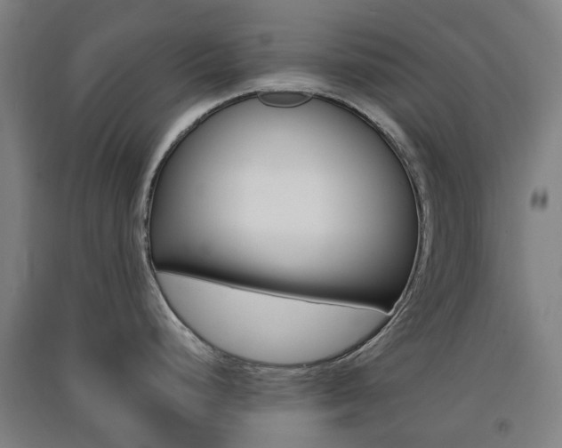 X0000091571248200708200944