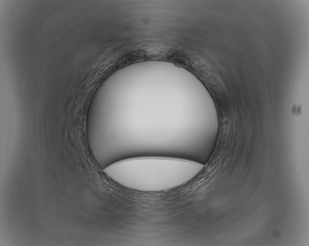 X0000091571249200708200943