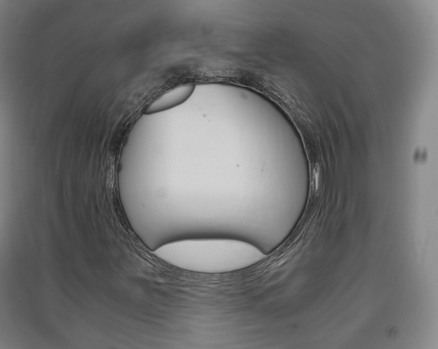 X0000091571251200708200943