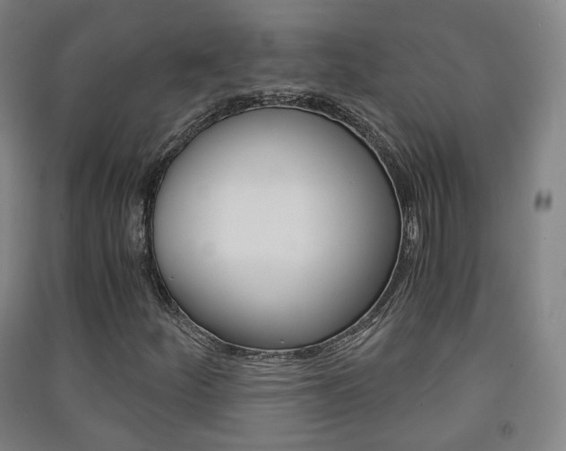 X0000091571252200708200943