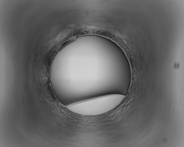 X0000091571253200708200943
