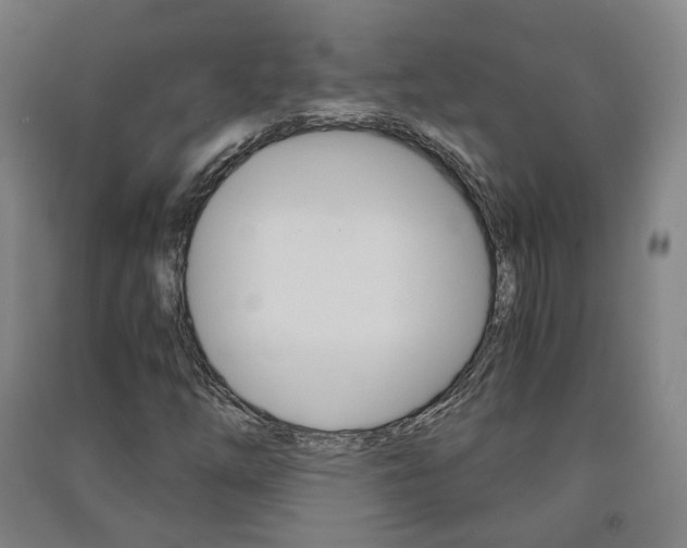 X0000091571254200708200943