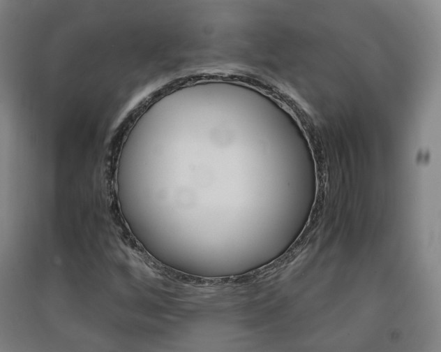 X0000091571256200708200943