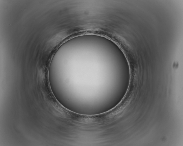 X0000091571257200708200943