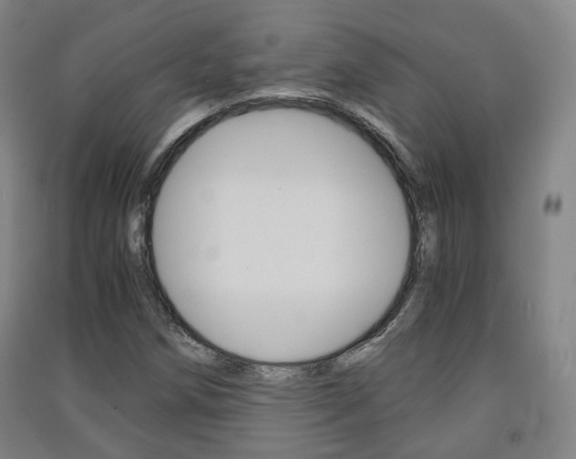 X0000091571258200708200943