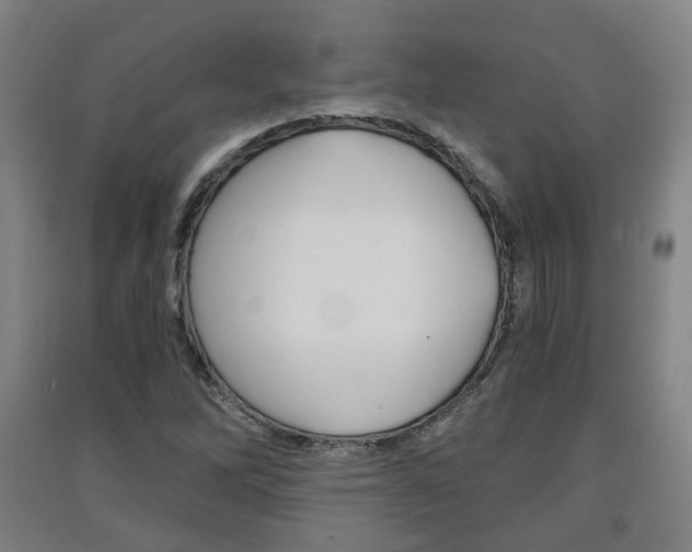 X0000091571262200708200943