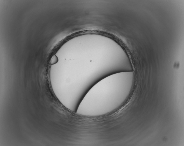 X0000091571263200708200943