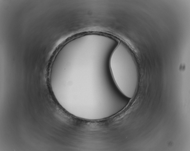 X0000091571264200708200943