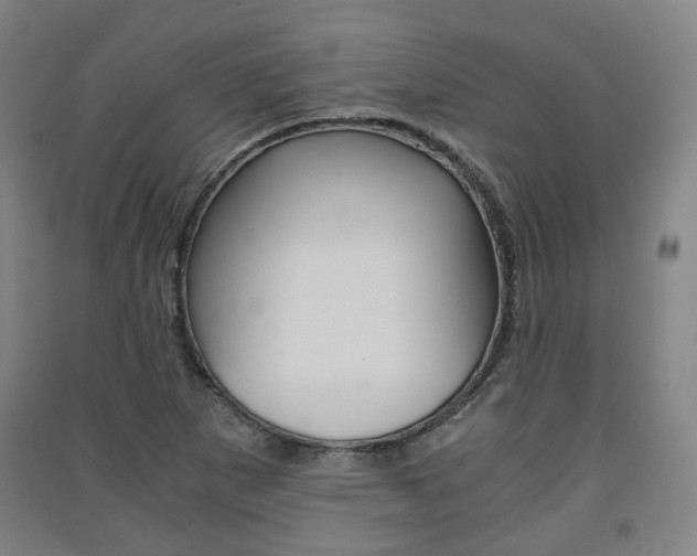 X0000091571265200708200943