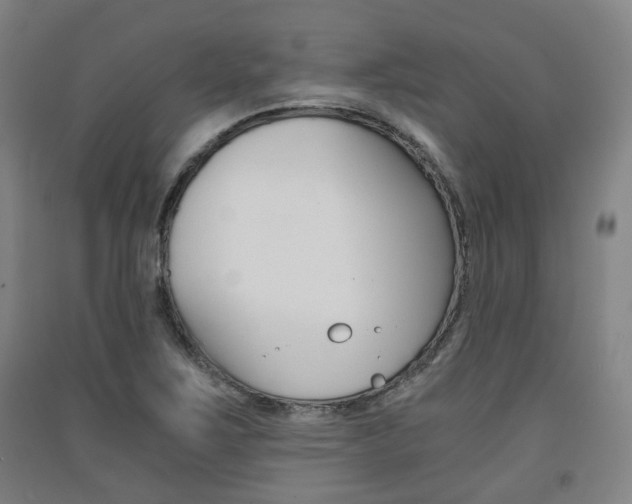 X0000091571267200708200943