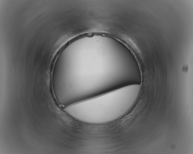X0000091571268200708200943