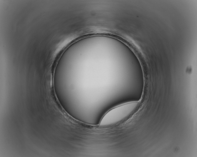 X0000091571269200708200943
