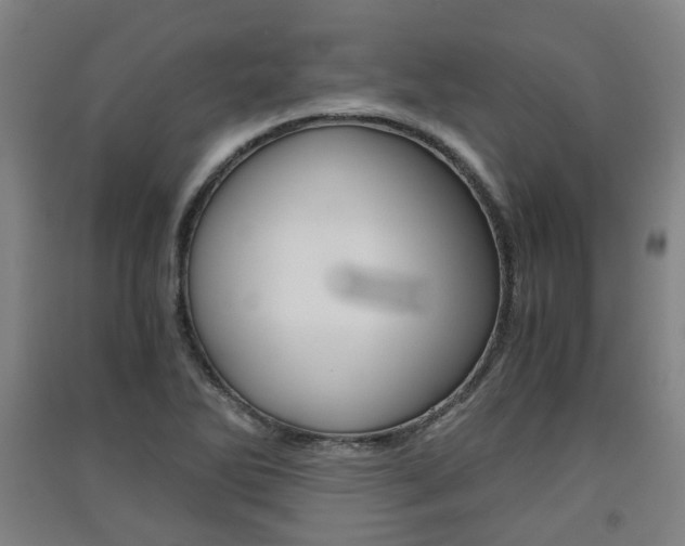 X0000091571270200708200943